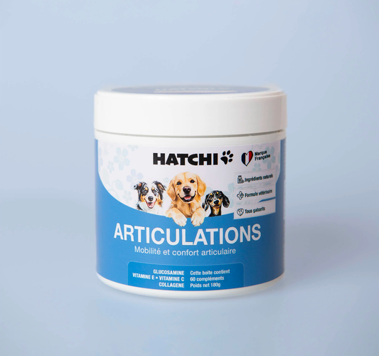 Formule Articulations