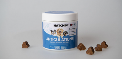 Formule Articulations