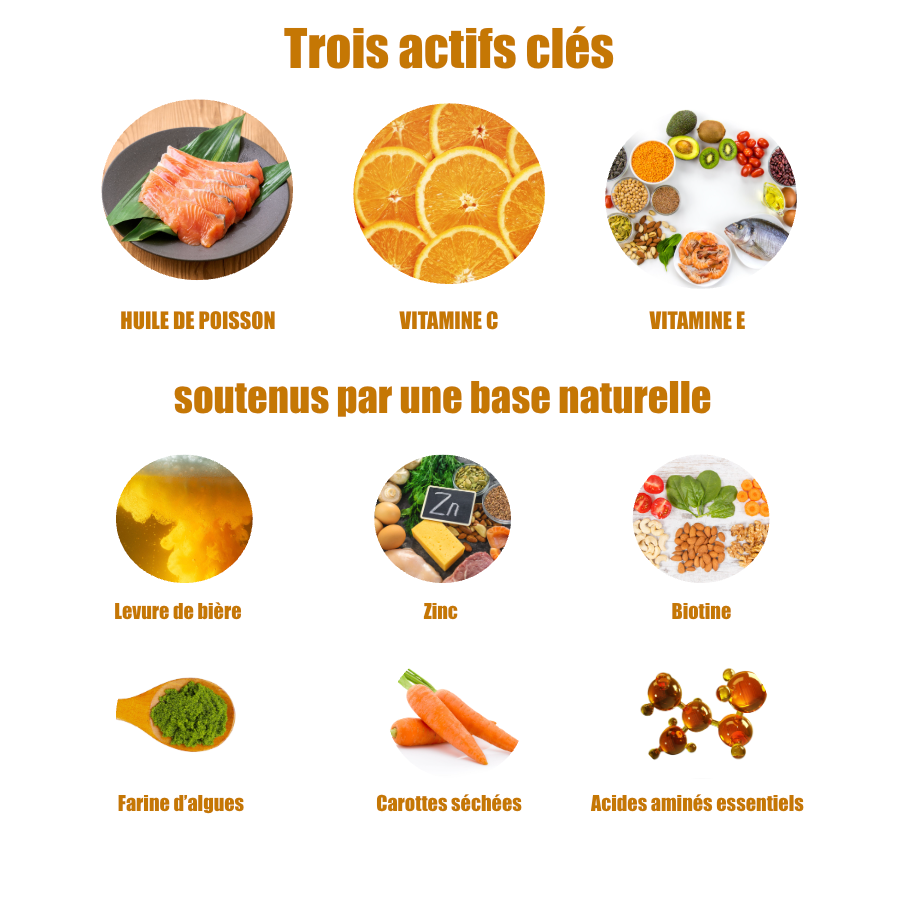 Formule Peau et Pelage