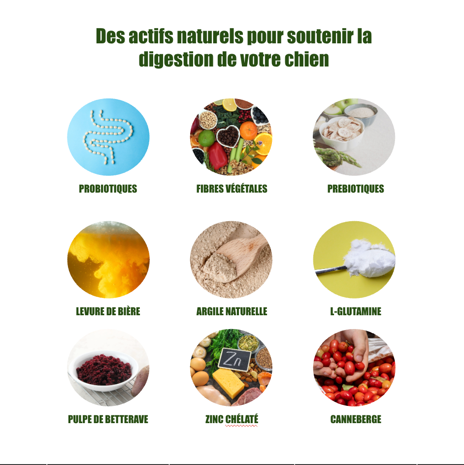 Formule Digestion