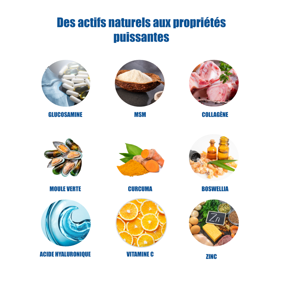 Formule Articulations