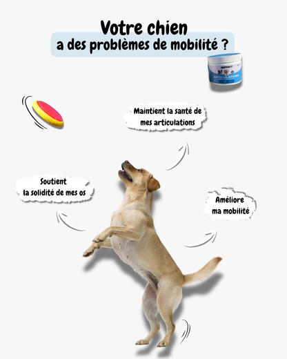Formule Articulations