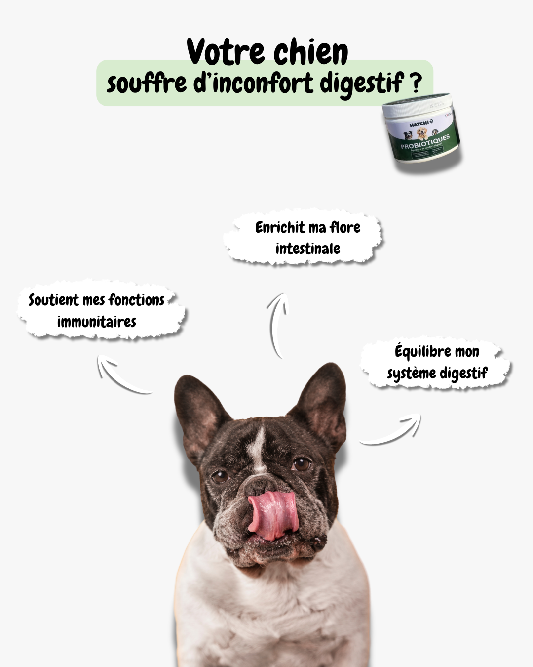 Formule Digestion