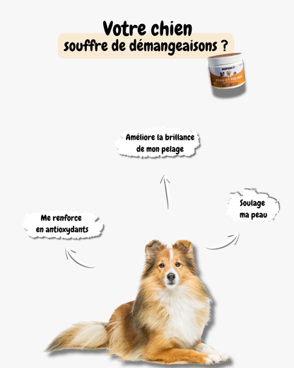 Formule Peau et Pelage